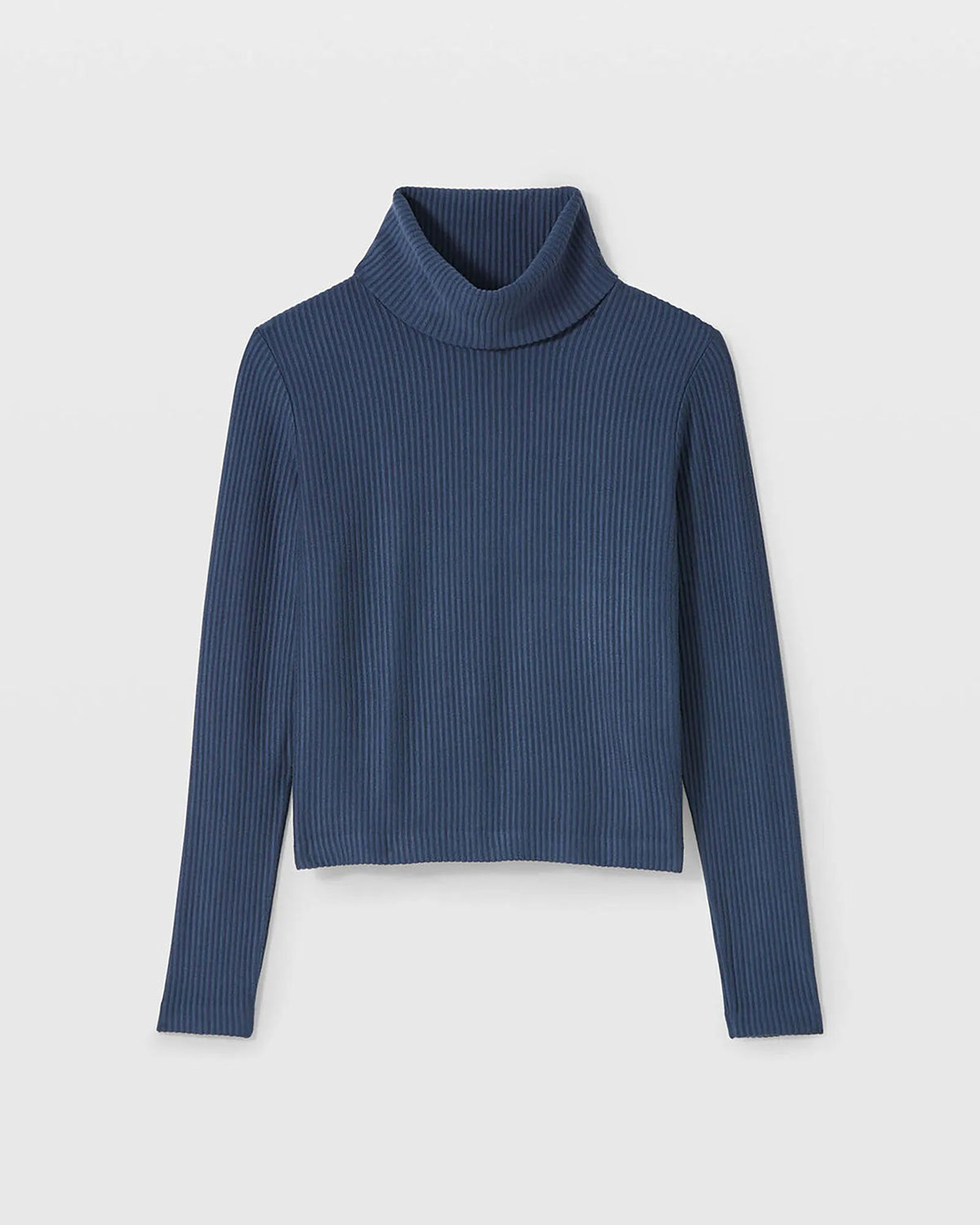 Meredy Rib-Knit Turtleneck Top