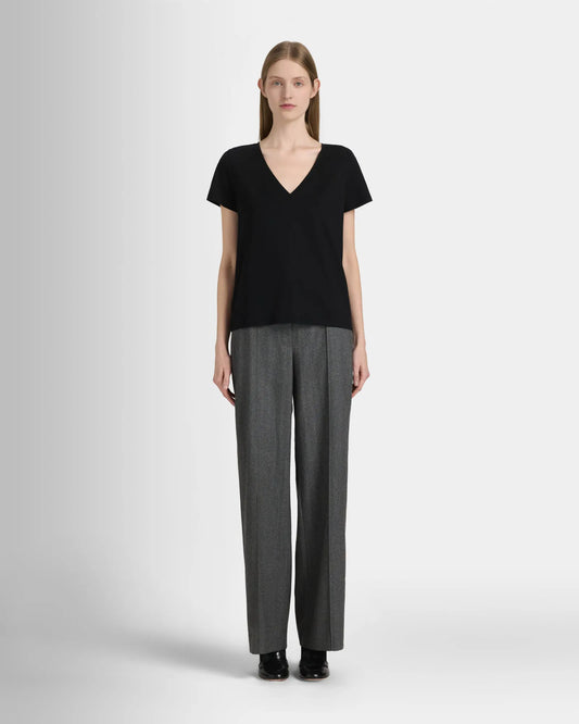 The V-Neck T-Shirt