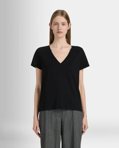 The V-Neck T-Shirt